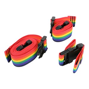 Skillbuilders Support Swing Seat Harness